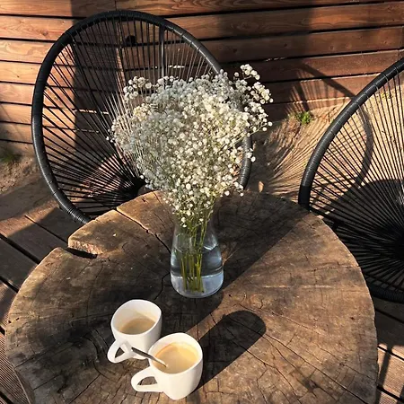 Nad Narvia - Glamp *